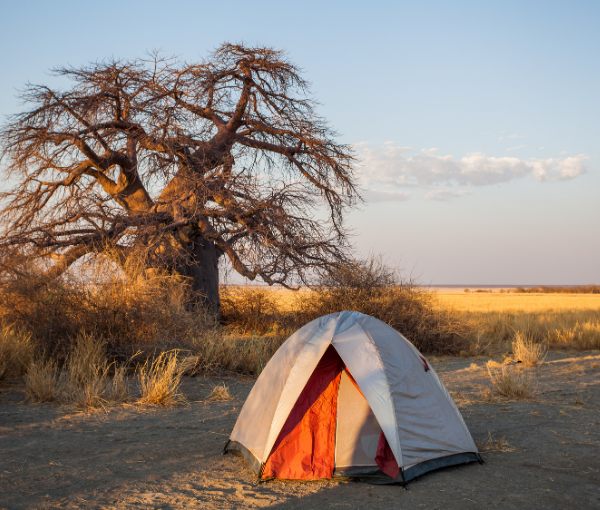 2 DAYS CAMPING SAFARI